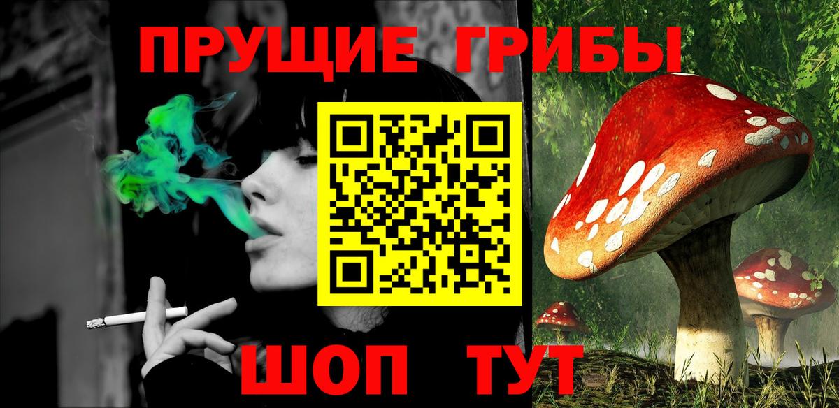 Псилоцибиновые грибы ЛСД  Вход с VPN  Черкесск 